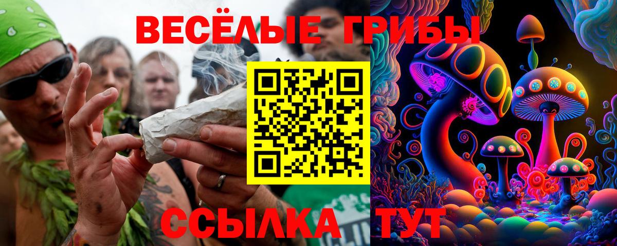 Курчалой  закладки  Вход с VPN  Галлюциногенные грибы Magic Shrooms 
